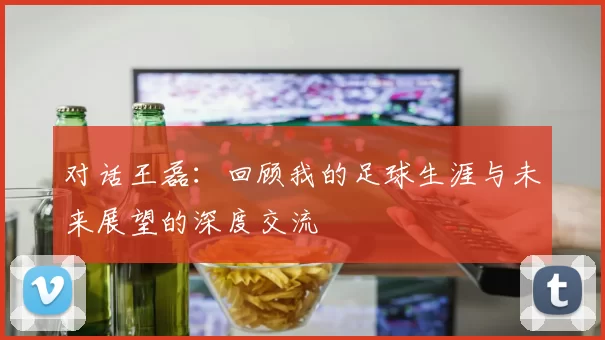 对话王磊：回顾我的足球生涯与未来展望的深度交流