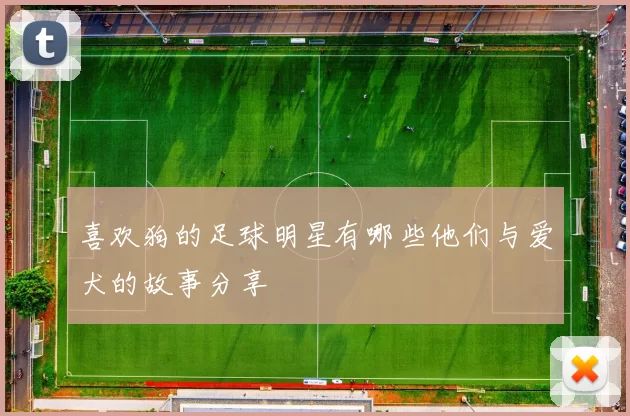 喜欢狗的足球明星有哪些他们与爱犬的故事分享