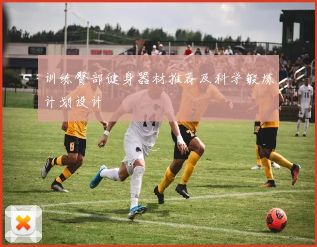 训练臀部健身器材推荐及科学锻炼计划设计