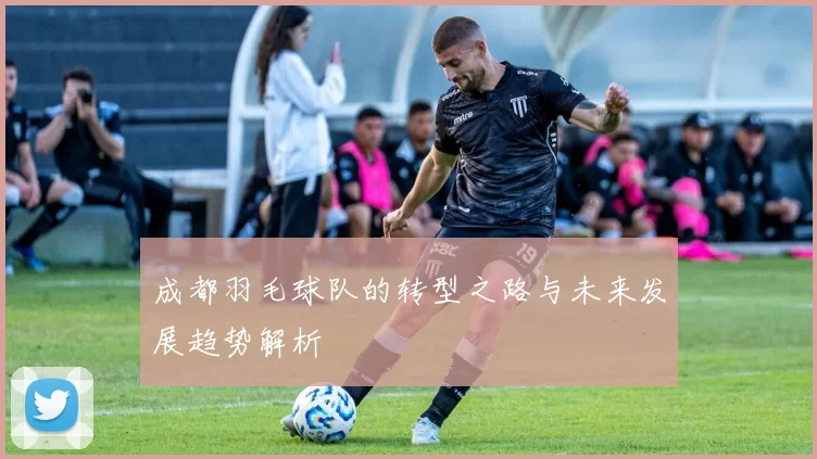 成都羽毛球队的转型之路与未来发展趋势解析