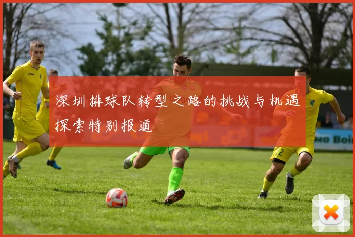深圳排球队转型之路的挑战与机遇探索特别报道
