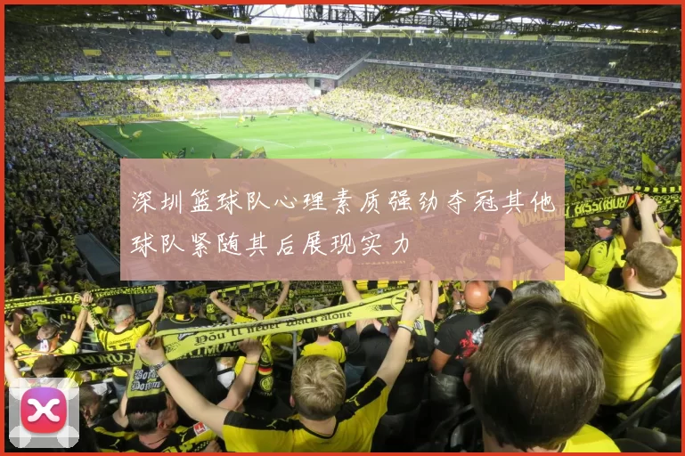 深圳篮球队心理素质强劲夺冠其他球队紧随其后展现实力