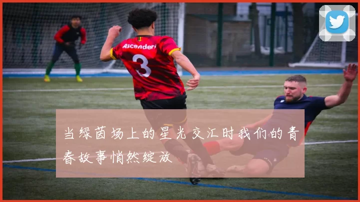 当绿茵场上的星光交汇时我们的青春故事悄然绽放