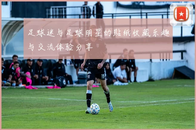 足球迷与足球明星的贴纸收藏乐趣与交流体验分享