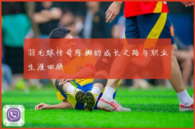 羽毛球传奇陈娜的成长之路与职业生涯回顾