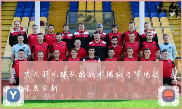 武汉羽毛球队的战术揭秘与阵地战深度分析