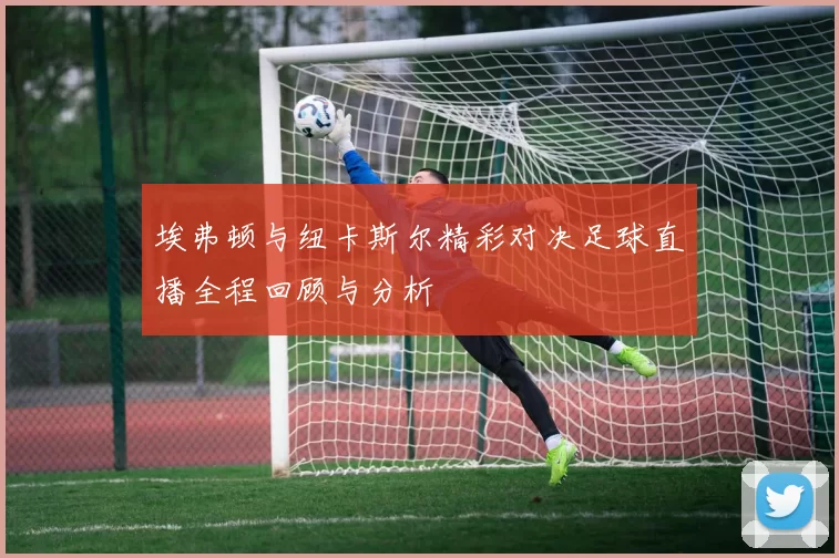 埃弗顿与纽卡斯尔精彩对决足球直播全程回顾与分析