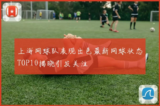 上海网球队表现出色最新网球状态TOP10揭晓引发关注
