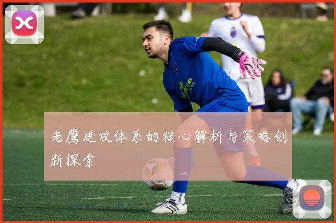 老鹰进攻体系的核心解析与策略创新探索