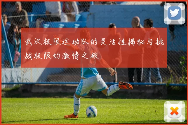 武汉极限运动队的灵活性揭秘与挑战极限的激情之旅