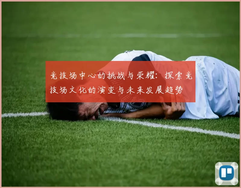 竞技场中心的挑战与荣耀：探索竞技场文化的演变与未来发展趋势