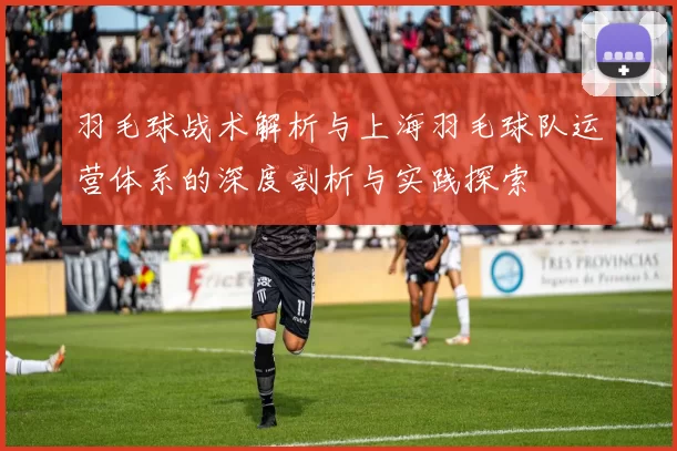 羽毛球战术解析与上海羽毛球队运营体系的深度剖析与实践探索