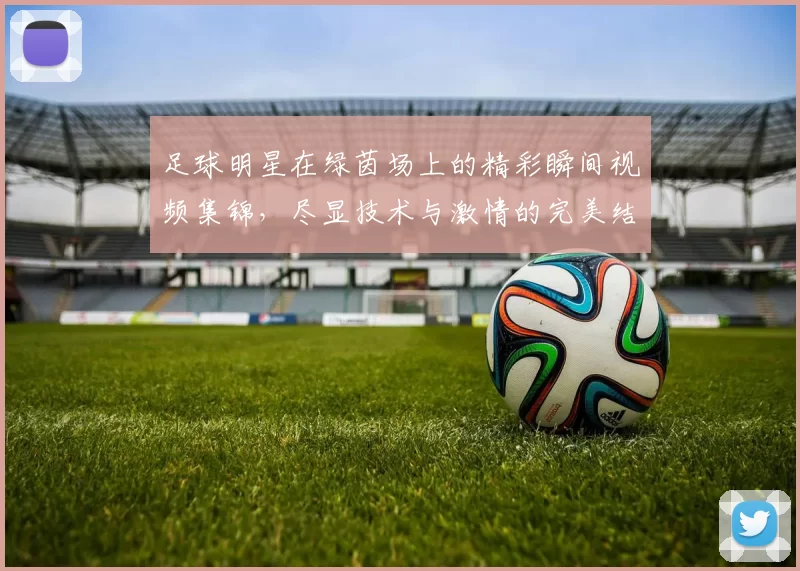 足球明星在绿茵场上的精彩瞬间视频集锦，尽显技术与激情的完美结合