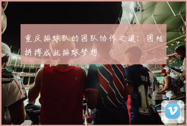 重庆排球队的团队协作之道：团结拼搏成就排球梦想