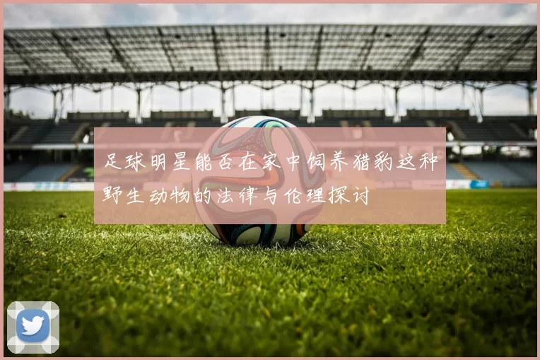 足球明星能否在家中饲养猎豹这种野生动物的法律与伦理探讨