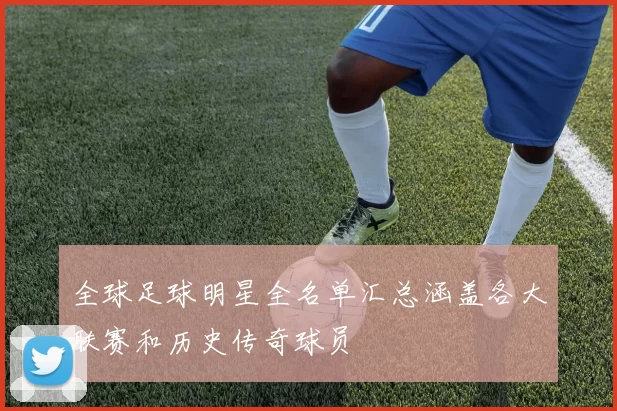 全球足球明星全名单汇总涵盖各大联赛和历史传奇球员