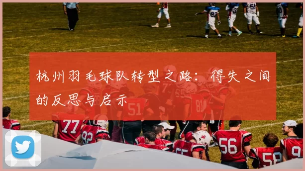 杭州羽毛球队转型之路：得失之间的反思与启示