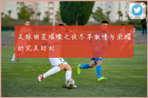 足球明星璀璨之夜尽享激情与荣耀的完美时刻