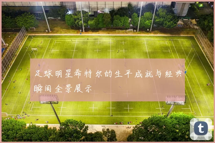 足球明星希特尔的生平成就与经典瞬间全景展示