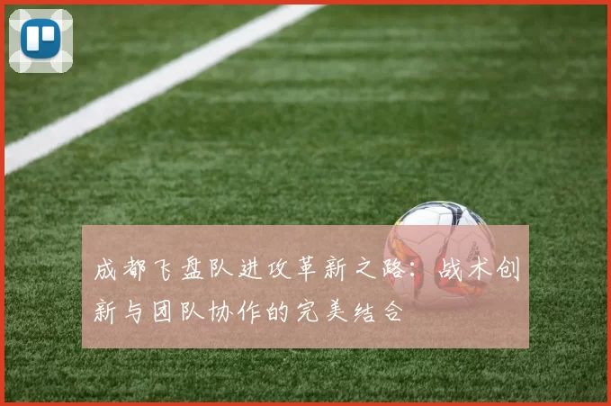 成都飞盘队进攻革新之路：战术创新与团队协作的完美结合