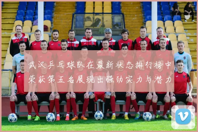 武汉乒乓球队在最新状态排行榜中荣获第五名展现出强劲实力与潜力