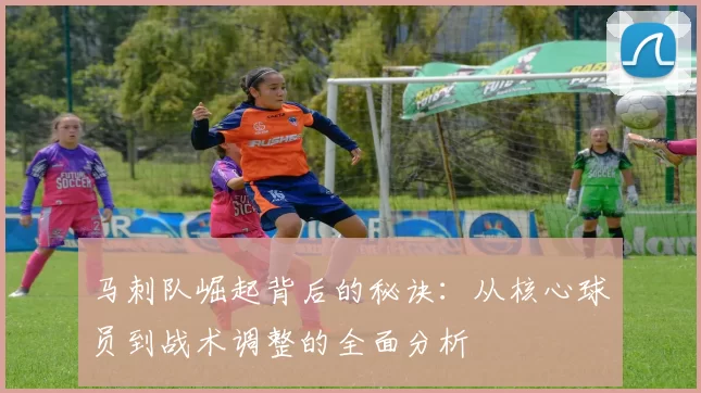 马刺队崛起背后的秘诀：从核心球员到战术调整的全面分析