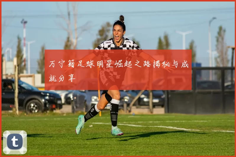 万宁籍足球明星崛起之路揭秘与成就分享